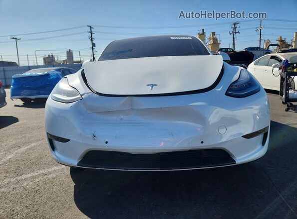5YJYGDEE7MF202643 2021 TESLA MODEL White Вид спереду