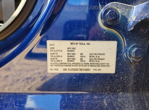5YJYGDEE7MF246867 2021 TESLA MODEL Blue Vista de la etiqueta del VIN