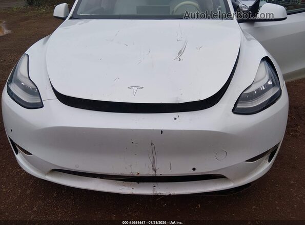 5YJYGDEE7MF279142 2021 TESLA MODEL Y Белый Вид спереди