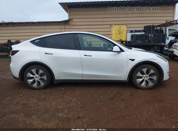 5YJYGDEE7MF279142 2021 TESLA MODEL Y Белый Вид задней части салона
