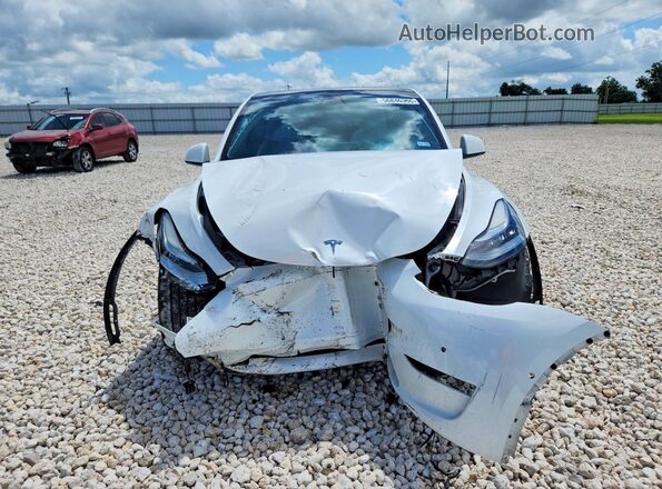 5YJYGDEE8MF303982 2021 TESLA MODEL White Вид спереду