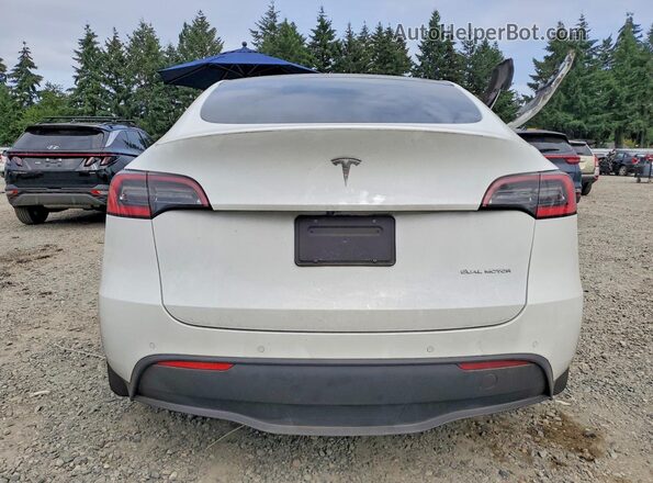 5YJYGDEE9MF098009 2021 TESLA MODEL White Widok z tyłu