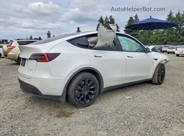 5YJYGDEE9MF098009 2021 TESLA MODEL White Tył prawy