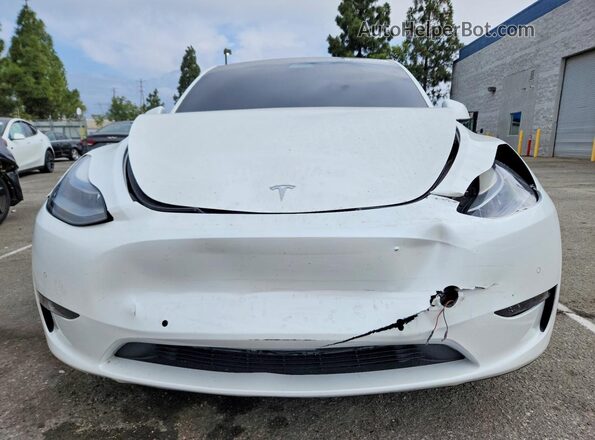 5YJYGDEF2MF251709 2021 TESLA MODEL Белый Вид спереди