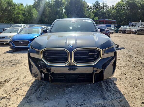 5YM23CS03P9R79038 2023 BMW XM Серый Вид спереди