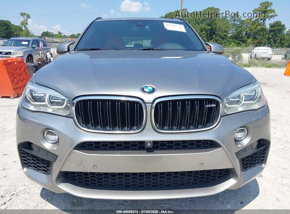 5YMKT6C59G0R79237 2016 BMW X5 Silver Widok z przodu