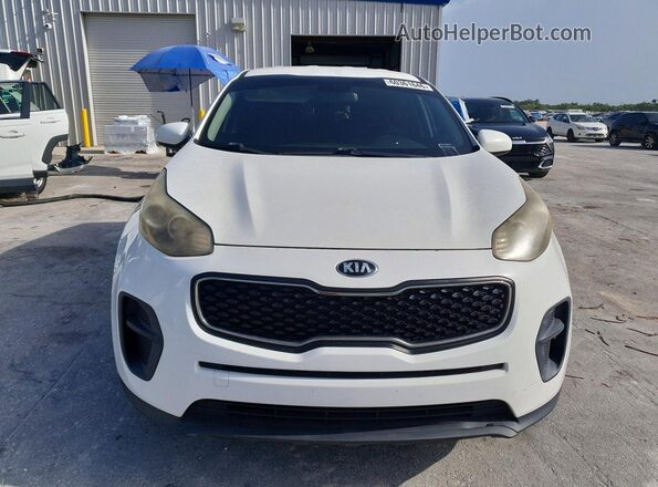 KNDPM3AC2H7108006 2017 KIA SPORTAGE Белый Вид сзади