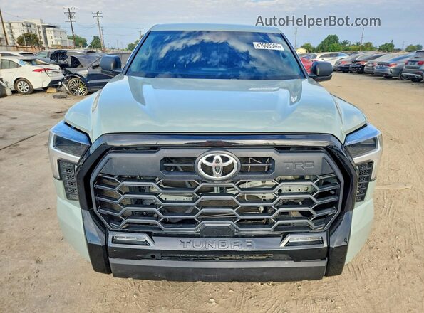 5TFLA5DB5NX035523 2022 TOYOTA TUNDRA Green Vista trasera