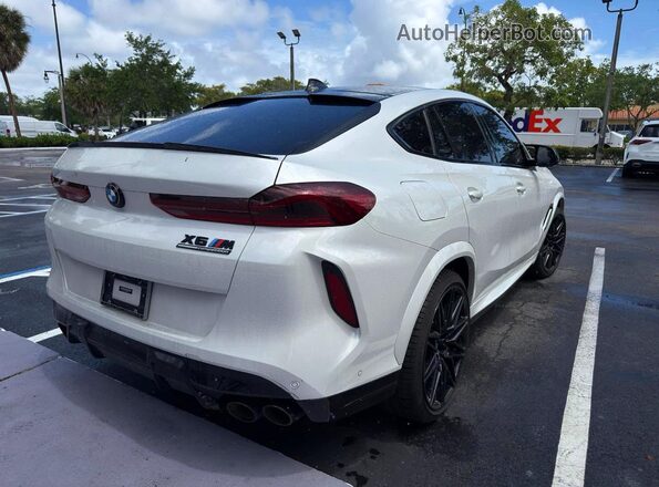 5YMCY0C09L9B05681 2020 BMW X6 White Widok z przodu