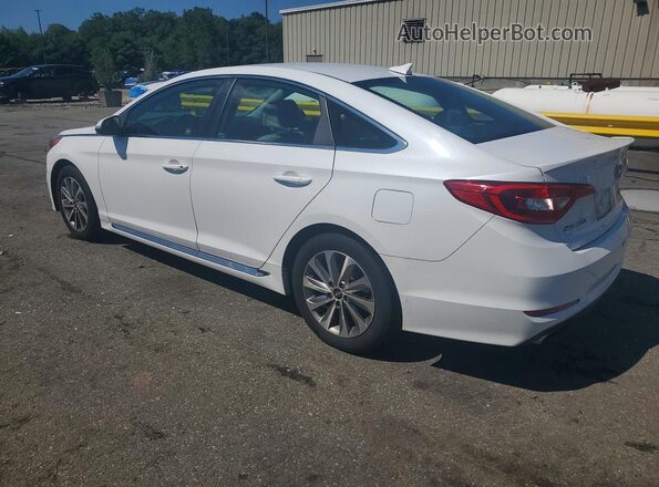 5NPE34AF4GH274712 2016 HYUNDAI SONATA White უკანა მარჯვენა