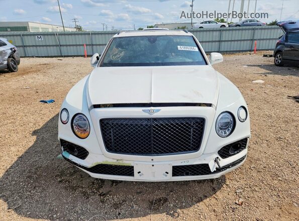 SJAAM2ZV9LC029665 2020 BENTLEY BENTAYGA Белый Вид сзади