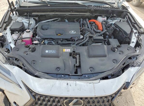 JTJGKCEZ3S2049909 2025 LEXUS NX White Вид наклейки з VIN-кодом