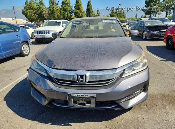 JHMCR6F35HC006666 2017 HONDA ACCORD Gray Вид ззаду