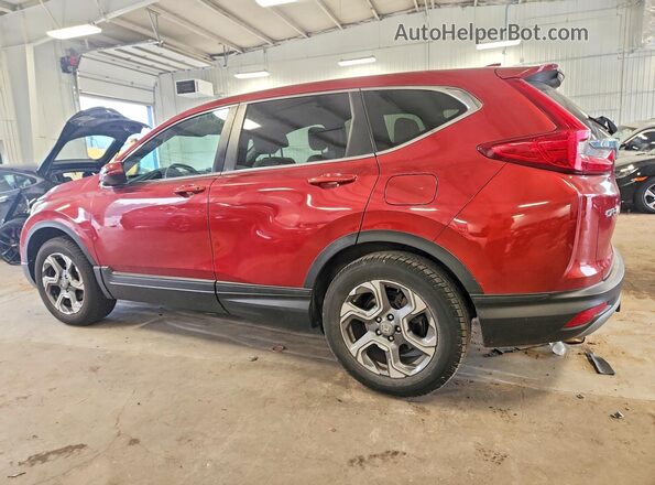 5J6RW2H55HL070986 2017 HONDA CR-V Red Հետևի աջ