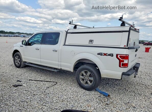 1FTFW1E52LFB17485 2020 FORD F150 White Задня права чверть