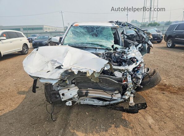 2T3W1RFV8SW397406 2025 TOYOTA RAV4 Белый Вид сзади