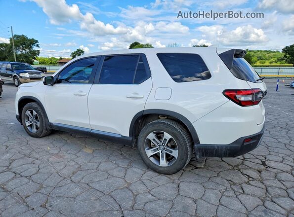5FNYG2H4XPB014517 2023 HONDA PILOT White Задня права чверть