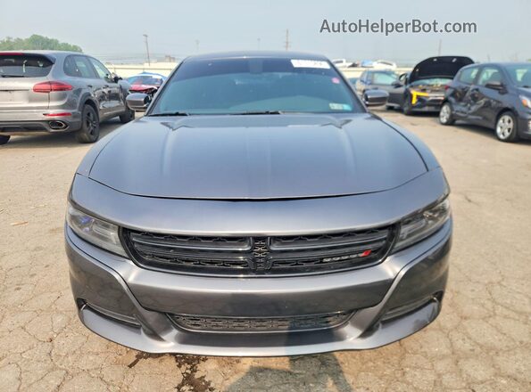 2C3CDXHG2GH317512 2016 DODGE CHARGER Gray Вид ззаду