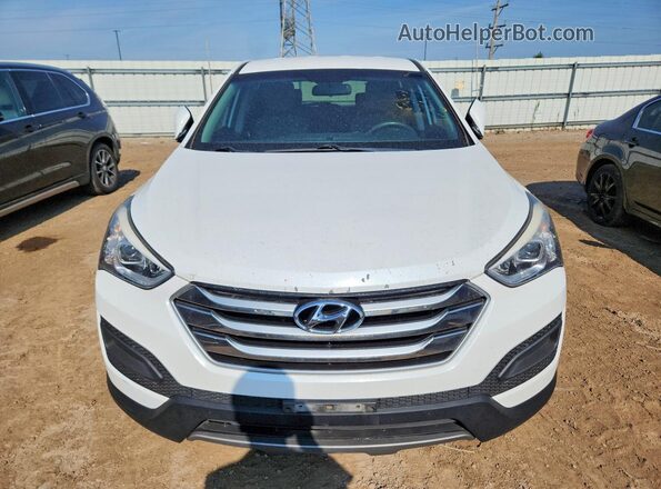 5XYZT3LB0GG312708 2016 HYUNDAI SANTA White Հետևի տեսք