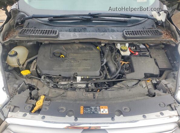 1FMCU9JD2HUA86564 2017 FORD ESCAPE Gray VIN sticker view