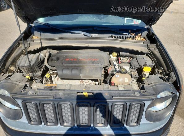 ZACCJBBT4GPC88168 2016 JEEP RENEGADE Black Vista de la etiqueta del VIN