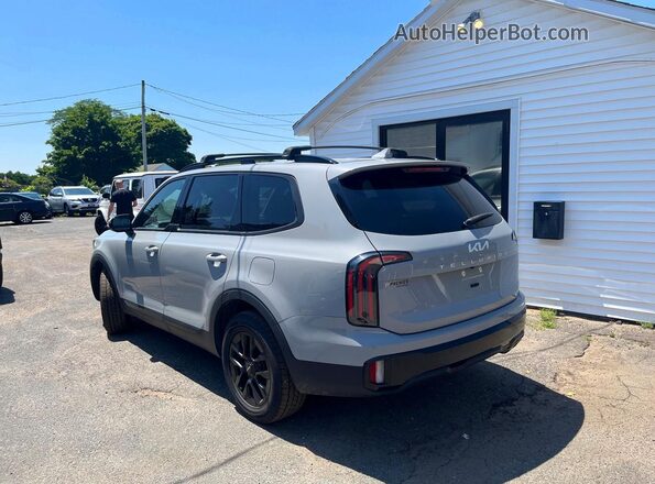 5XYP5DGC7RG423608 2024 KIA TELLURIDE Gray Հետևի աջ