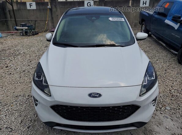 1FMCU0H66LUA35564 2020 FORD ESCAPE White Rear view