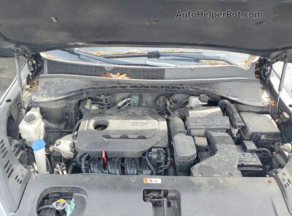 5XYPGDA31KG445368 2019 KIA SORENTO Black Widok naklejki z numerem VIN