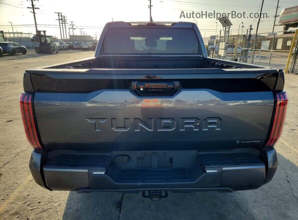 5TFNC5DB9SX103272 2025 TOYOTA TUNDRA Gray Սալոնի դիմացի տեսք