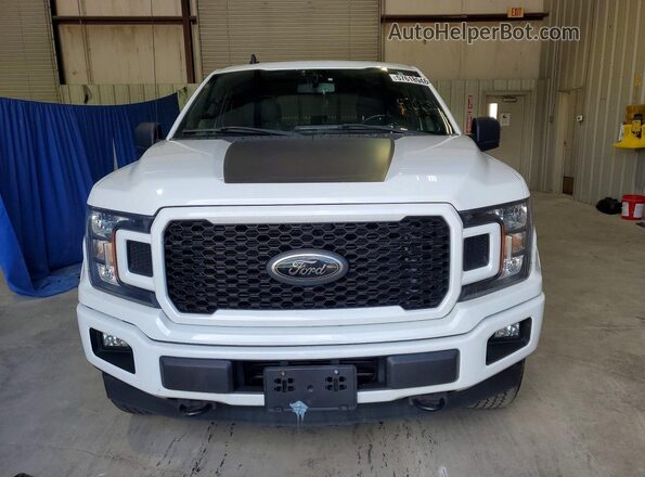 1FTFX1E42LFA33669 2020 FORD F150 White უკანა ხედი