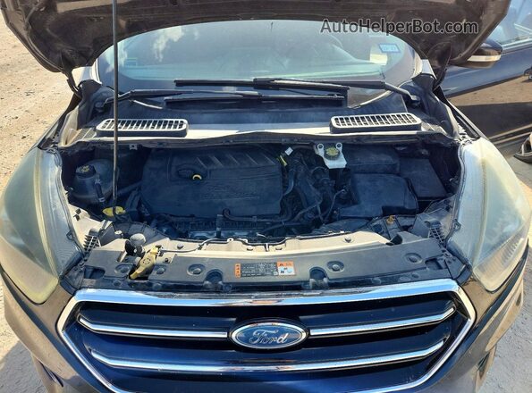 1FMCU0JD4HUB79226 2017 FORD ESCAPE Black Vista de la etiqueta del VIN