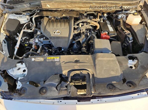 2T2BAMBA9RC042684 2024 LEXUS RX Белый Вид наклейки с VIN-кодом