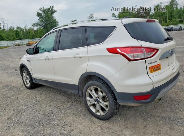 1FMCU9J94GUB54941 2016 FORD ESCAPE Белый Задняя правая четверть