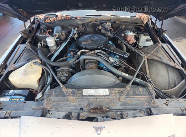 6D69S8Q285847 1978 CADILLAC DEVILLE Beige Rear interior view