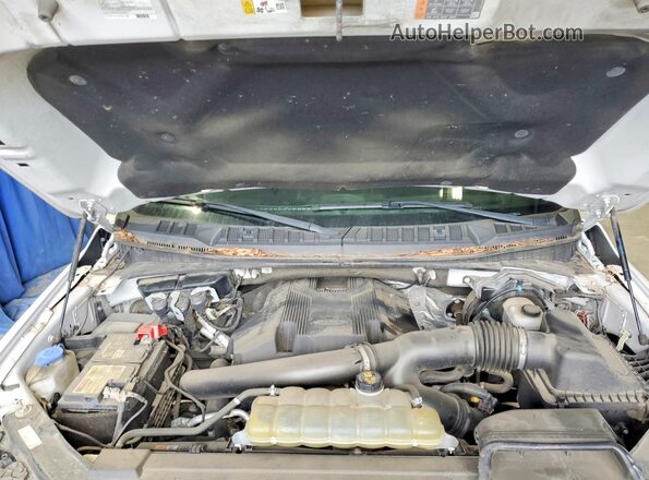 1FTFX1E42LFA33669 2020 FORD F150 White ძრავის განყოფილების ხედი