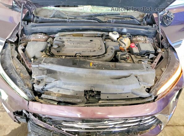 LRBFZME44RD067045 2024 BUICK ENVISION Purple Vista de la etiqueta del VIN