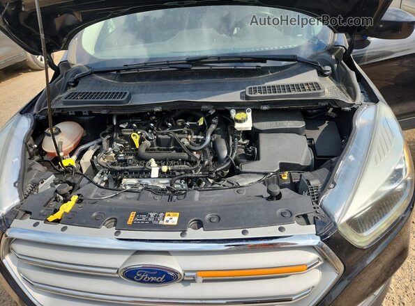 1FMCU9HD2KUB32469 2019 FORD ESCAPE Black Вид наклейки з VIN-кодом