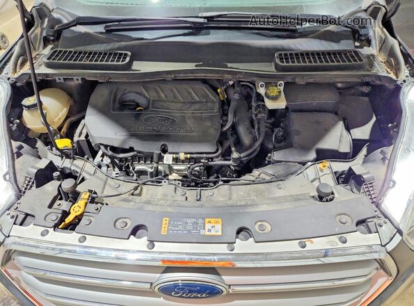 1FMCU9GD2HUE19658 2017 FORD ESCAPE Gray Вид наклейки з VIN-кодом