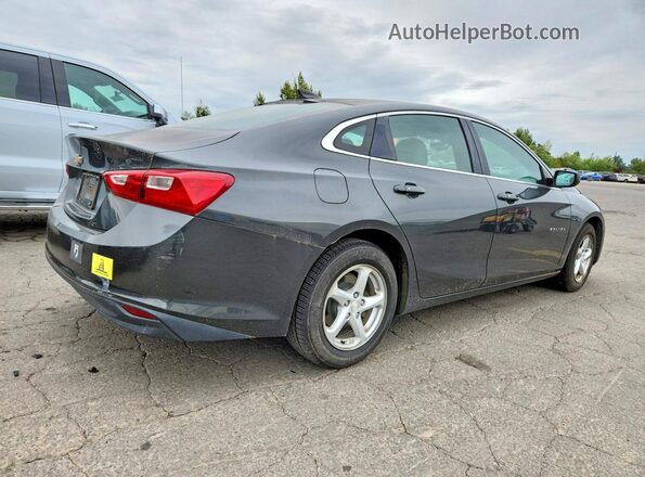 1G1ZB5ST9HF251395 2017 CHEVROLET MALIBU Gray უკანა მარჯვენა
