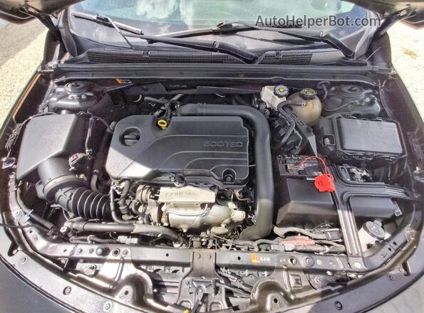 1G1ZC5ST3PF176480 2023 CHEVROLET MALIBU Black Vista del compartimento del motor