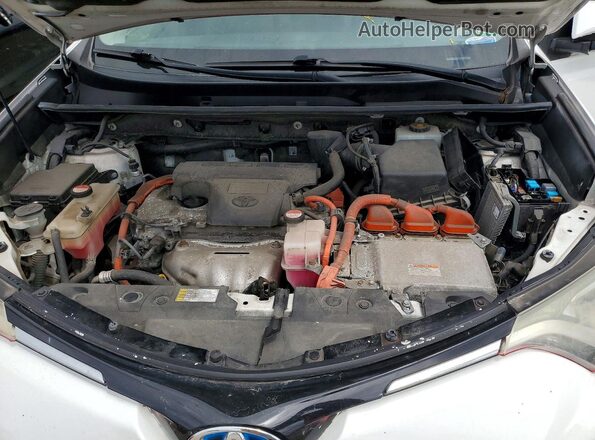 JTMRJREV2GD033095 2016 TOYOTA RAV4 White Vista de la etiqueta del VIN