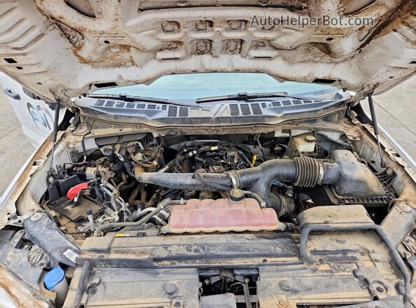 1FTEX1CP6MKD65812 2021 FORD F150 White Շարժիչի բաժամունքի տեսք