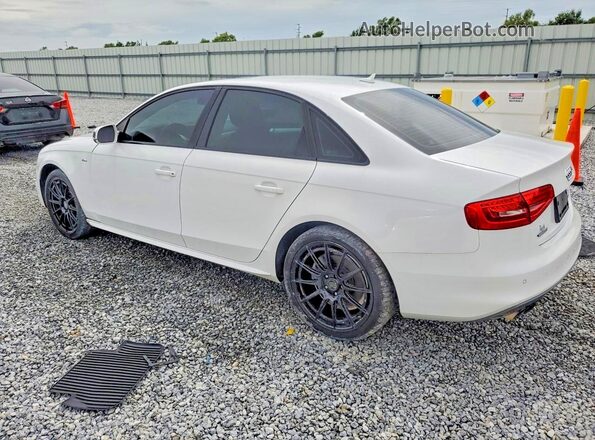WAUBFAFL2GN015530 2016 AUDI A4 Белый Задняя правая четверть