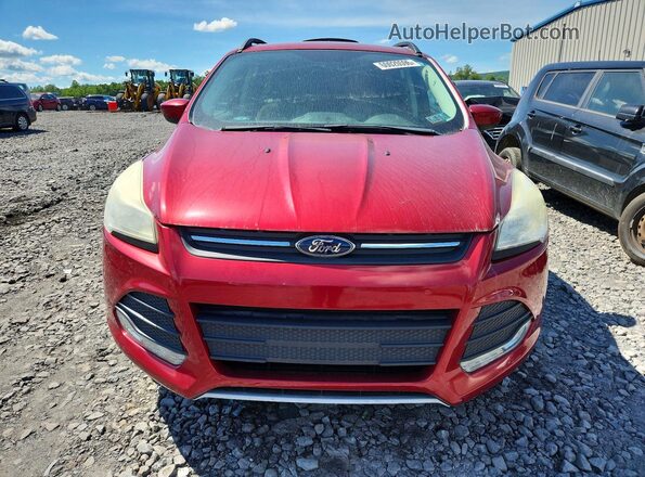 1FMCU9GXXGUA42098 2016 FORD ESCAPE Red Հետևի տեսք