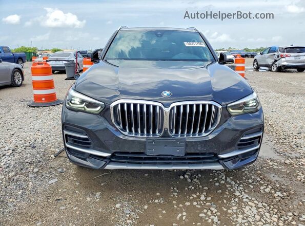 5UXCR4C00P9P36995 2023 BMW X5 Black Widok z tyłu
