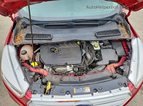 1FMCU9GD7JUC24984 2018 FORD ESCAPE Red VIN կոդի պիտակի տեսք
