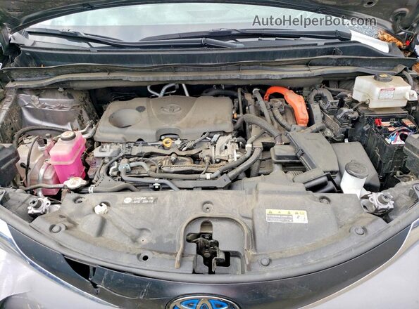 5TDYSKFC1MS029908 2021 TOYOTA SIENNA Charcoal VIN կոդի պիտակի տեսք