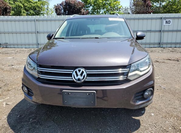 WVGBV7AX9GW566059 2016 VOLKSWAGEN TIGUAN Gray Вид ззаду