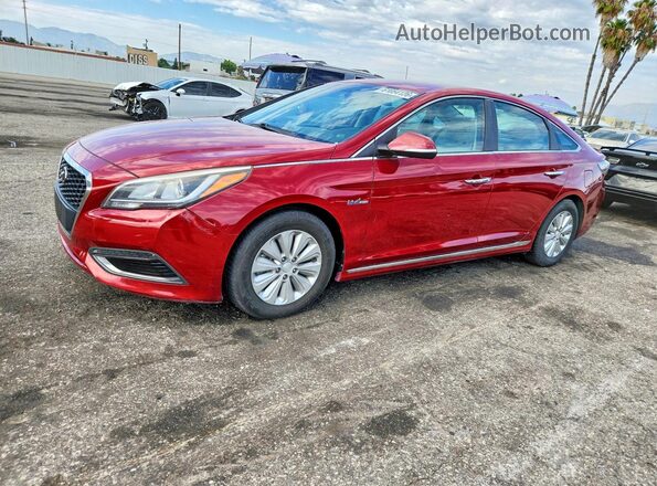 KMHE24L17GA009192 2016 HYUNDAI SONATA Red Rear left