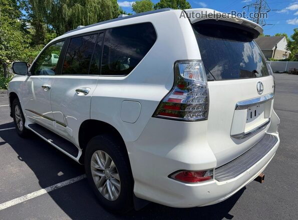 JTJBM7FX8J5186981 2018 LEXUS GX Белый Задняя правая четверть